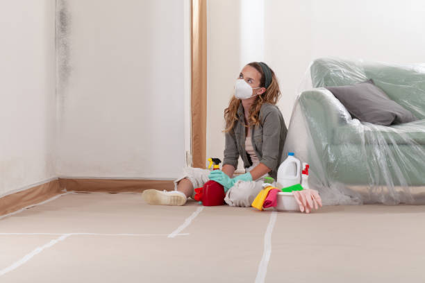 Reliable Mold Remediation contractor in Key Biscayne, FL by WQB Mold Removal